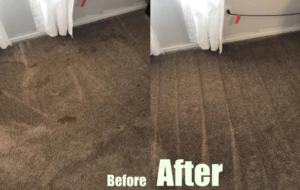 Bissell 1622 cleaning performance- before and after