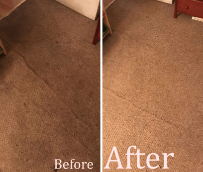 bissell proheat 1887 cleaning performance before vs after