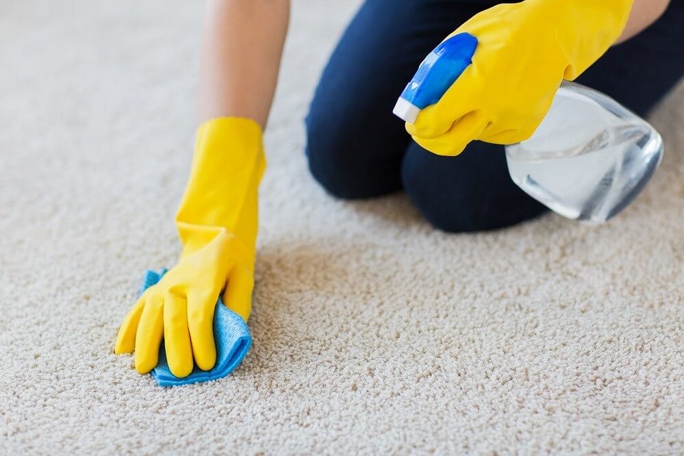 How to Get Mold Out of Carpets Effectively