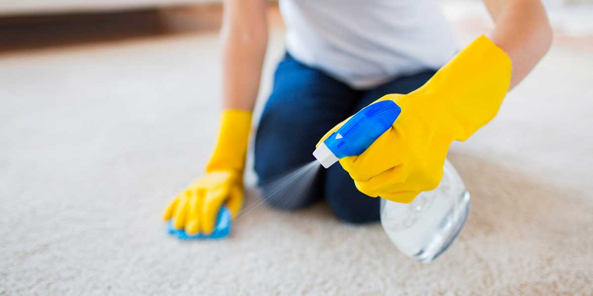 lady using water to clean carpet